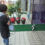 中国料理 王記 - 可愛い子猫のお見送り