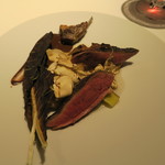 レフェルヴェソンス - 28年11月　ヴァンデ産の鳩の炙り焼きと浅利のジュ、里芋、ポロネギ、トレビスの枯葉、アパのアクセントで