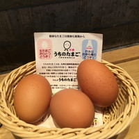 赤坂うまや 新宿 - 