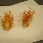 天白 - マキ海老のあたま