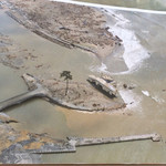 つるや - 空から一本松