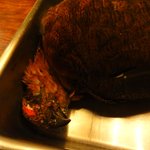 レシピ - 2010.11　雷鳥