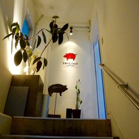 TROIS CUIT ASANUMA - 