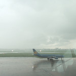 Lotus Lounge - 尾翼にロータス（蓮の花）