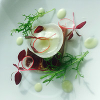 TRATTORIA CREATTA - 