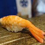 まき田鮨 - ☆しらさ海老☆