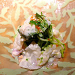 ドディチ・マッジョ - 