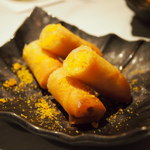 CINA New Modern Chinese - 