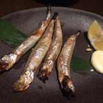 居酒屋 土間土間 - 