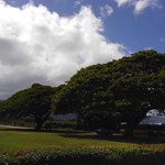 Cholo's HomeStyle Mexican - 