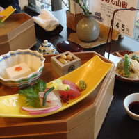 山茶花 - 