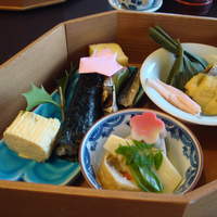 山茶花 - 