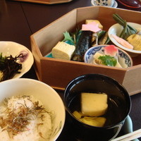 山茶花 - 
