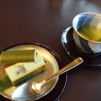 山茶花 - 