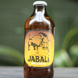 サルサカバナ バール_2