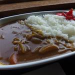 一枚岩鹿鳴館 - 自家製カレー￥550　安い！