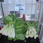 ヤオヨシ - 地元にしかない杓子菜