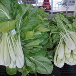 ヤオヨシ - 杓子菜（わが家では鍋や炒め物に使ってます）