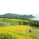 豊島美術館カフェ - 