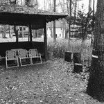 리잔보우 - ジョン一家が寛いでいた東屋とショーンの身長を刻んだ樹