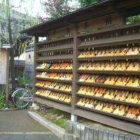 とんかつ まい泉 青山本店 - 今回の旅の目的地は城崎温泉でした