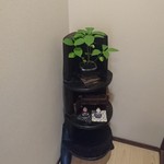 ごきげんさん - 