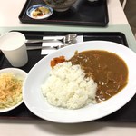 大谷パーキングエリア(下り)フードコート - カレー