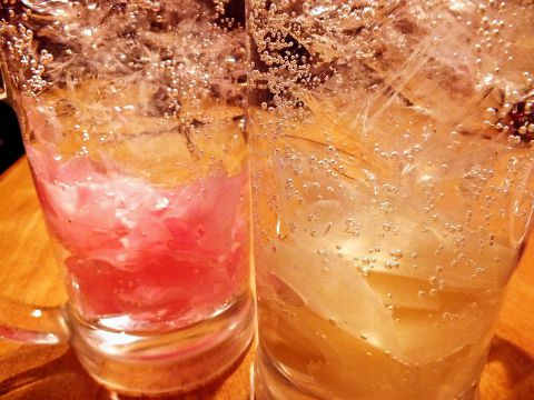 元祖 ほるもん道場 郡山駅前店（ガンソ ホルモンドウジョウ） - 郡山（ホルモン）