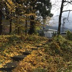 草庵 - 駐車場に至る石階段