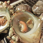 Grilled live turban shell