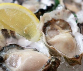 Oyster Bar ジャックポット - 