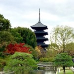 東寺うどん - 秋の東寺の五重塔❣️