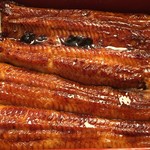 うなぎ亭 友栄 - 上うな重 UP