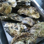 かき小屋 広田湾 - 蒸し牡蠣 １㎏