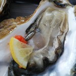 かき小屋 広田湾 - 生牡蠣 中サイズ