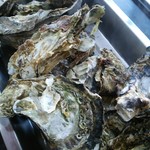 かき小屋 広田湾 - 蒸し牡蠣 １㎏