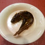 千松しま - 【ハゼ】◎2016/10