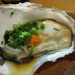 Umino Sachi - 岩牡蠣