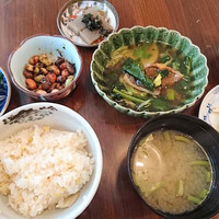 あそび割烹 さん葉か - 2016/11　ランチ \980