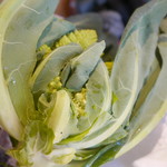 ウシマル - ロマネスコ、見せ野菜