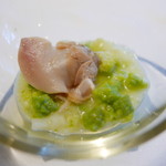 ウシマル - ハマグリ、ロマネスコ