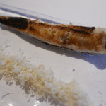 ウシマル - 九十九里の天然うなぎ、山わさび添え