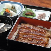＜うなぎコース＞ 8,800円／11,880円（税込み）