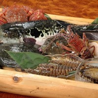＜ハマの梅林コース＞ ※一日一組限定 26,400円（税込み）