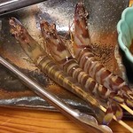 初鮮 - くるまエビ。
