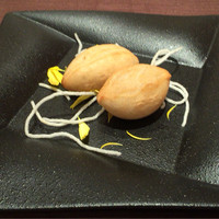 中国料理 桃李 - 干しエビ入り五目揚げ餅
                  