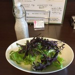 キノズ キッチン 樹 - サラダと黒豆のシーザードレシング