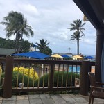 Pink's Hot Dogs - この下にアシカプール