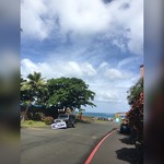 Pink's Hot Dogs - 海見えますね