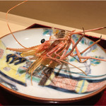 銀座 しのはら - 大将はエヴァの使徒らしいがミギーだわ